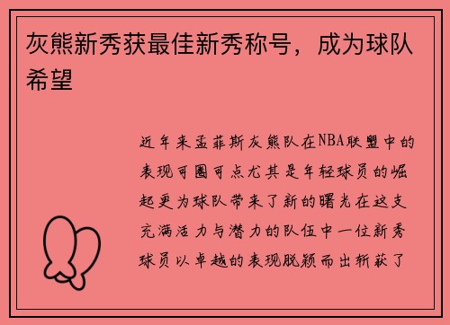 灰熊新秀获最佳新秀称号，成为球队希望